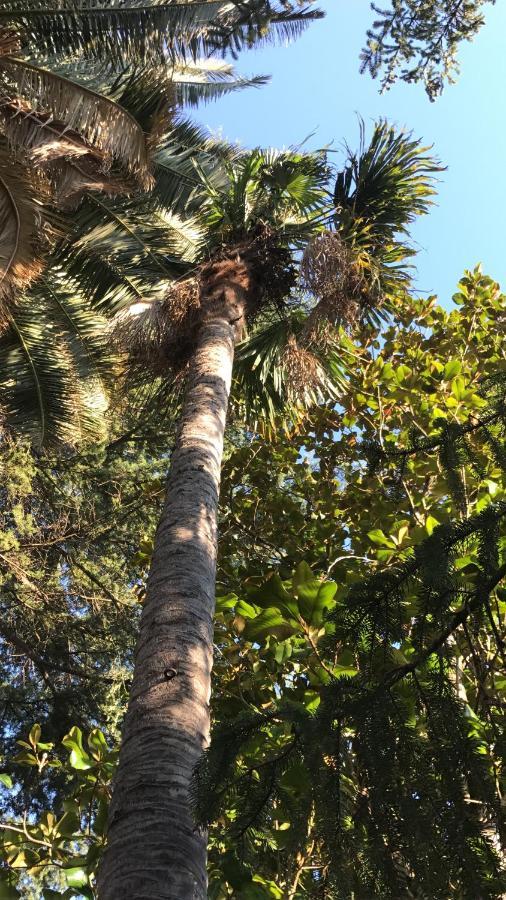 Agriturismo Castello Santa Margherita Cori エクステリア 写真