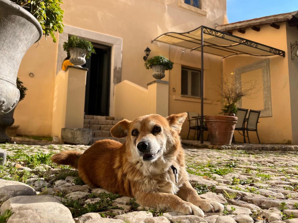 Agriturismo Castello Santa Margherita Cori エクステリア 写真